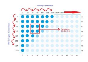 ELISA-Optimization-Checker-Board