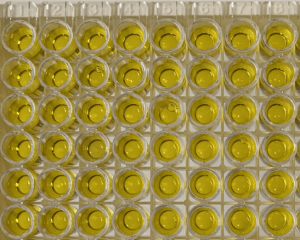 ELISA Standard Curve Problems and Troubleshooting