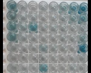 ELISA Standard Curve Problems and Troubleshooting