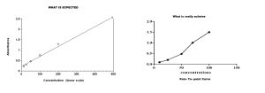 Linear ELISA curve VS point to point curve